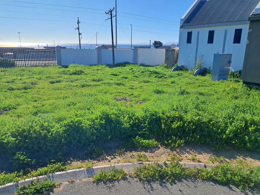 0 Bedroom Property for Sale in Steenbergs Cove Western Cape